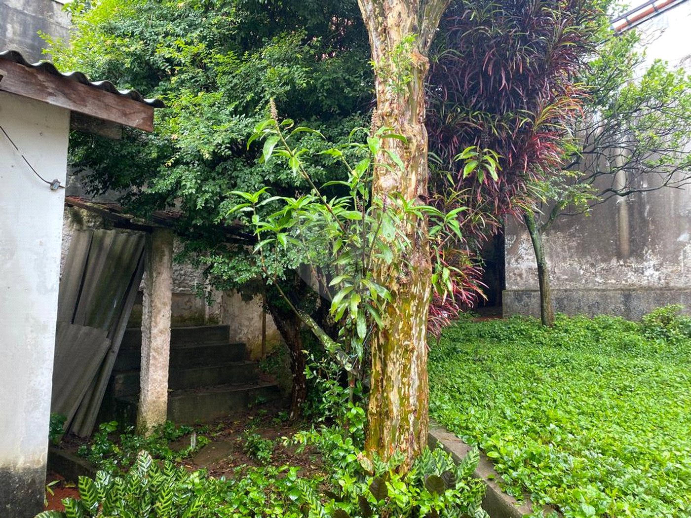 Casa à venda com 3 quartos, sendo 1 suíte, em Indianópolis, São Paulo, SP