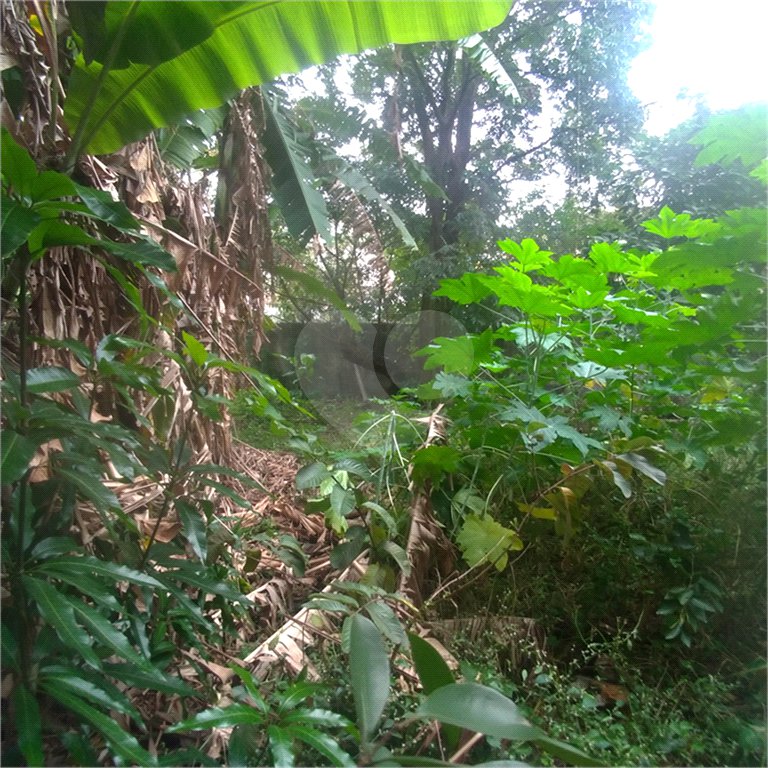 Terreno à venda em Casa Verde, São Paulo, SP