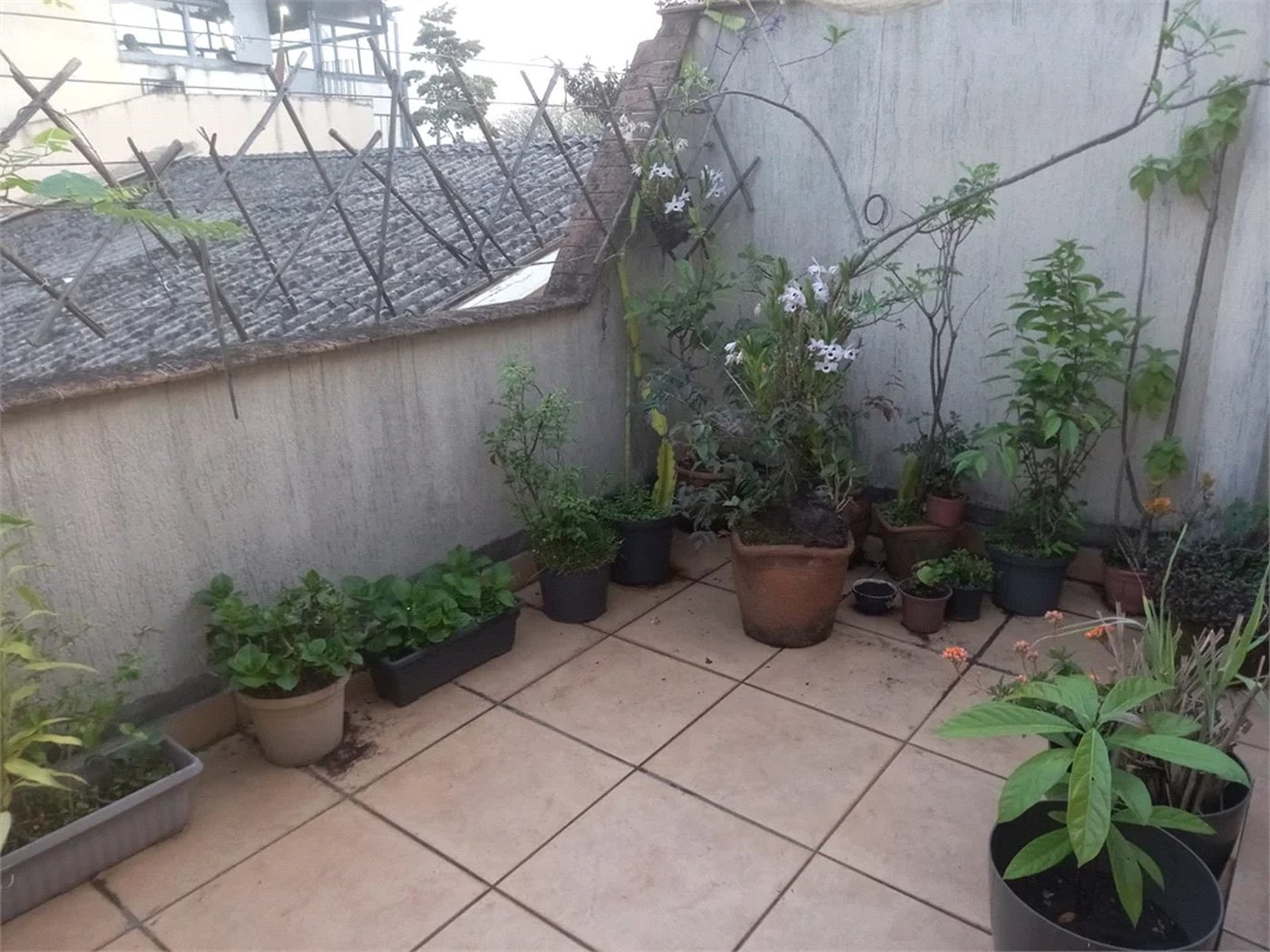 Sobrado à venda com 2 quartos em Parque da Lapa, São Paulo, SP