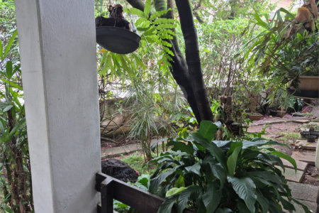 Casa à venda com 3 quartos em Jardim Franca, São Paulo, SP