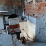 Sobrado à venda com 4 quartos, sendo 2 suítes, em Santana, São Paulo, SP