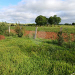 Terreno à venda em Área Rural de Guareí, Guareí, SP