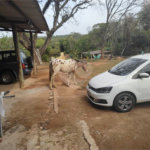 Sítio à venda com 3 quartos, sendo 2 suítes,  em Cachoeira, Atibaia, SP