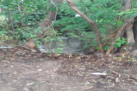 Área de Terra à venda em Parque Residencial Indaiá, Indaiatuba, SP