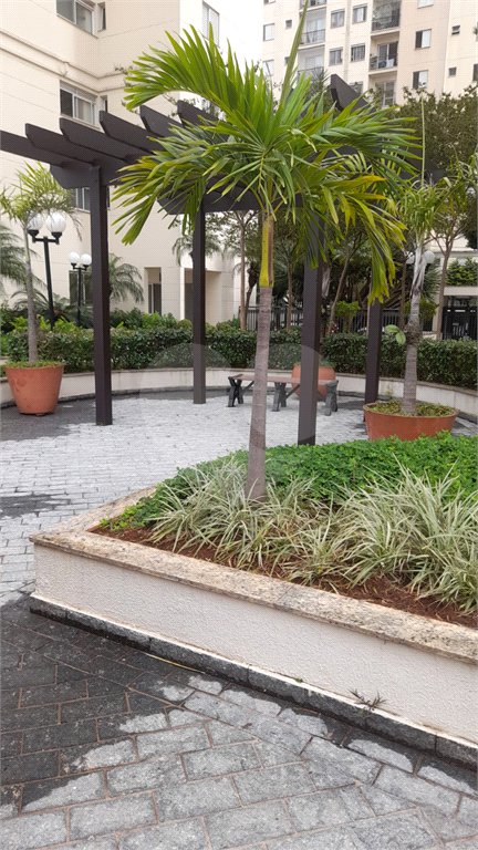 Apartamento à venda com 3 quartos, sendo 1 suíte, em Jardim Japão, São Paulo, SP