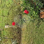 Chácara à venda com 8 quartos em Loteamento Chácara Val Paraiso, Atibaia, SP
