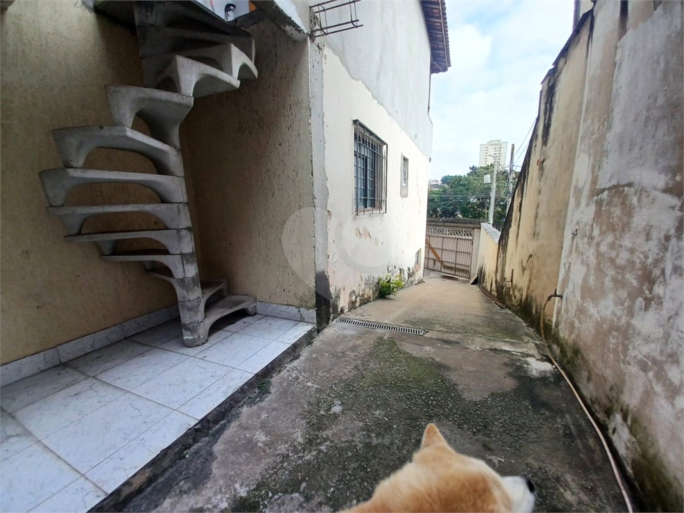 Sobrado à venda com 4 quartos, sendo 1 suíte, em Tucuruvi, São Paulo, SP