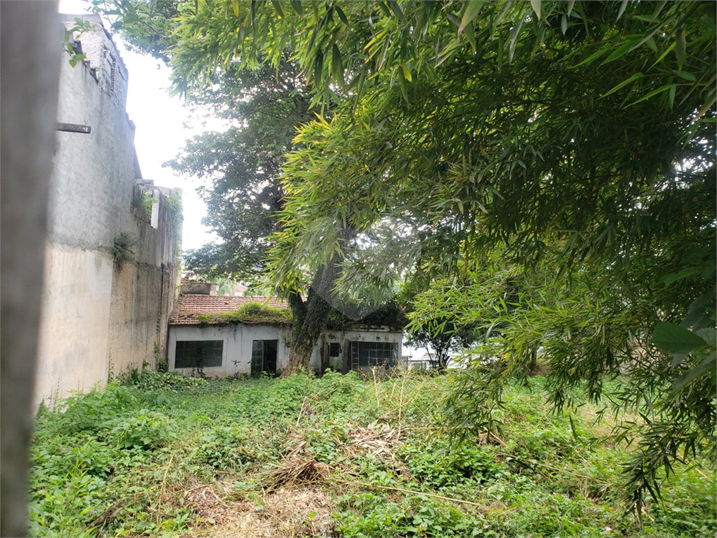 Terreno à venda em Tremembé, São Paulo, SP