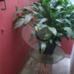 Sobrado à venda com 3 quartos em Casa Verde, São Paulo, SP