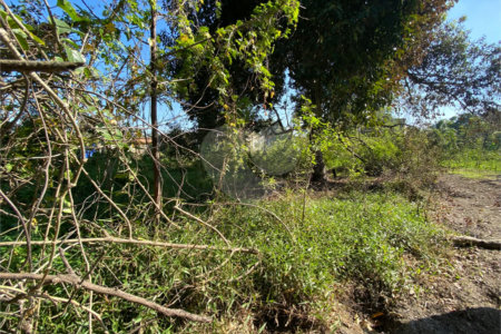 Terreno à venda em Campo Lindo, Seropédica, RJ