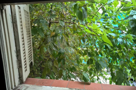 Casa à venda com 2 quartos em Cambuci, São Paulo, SP