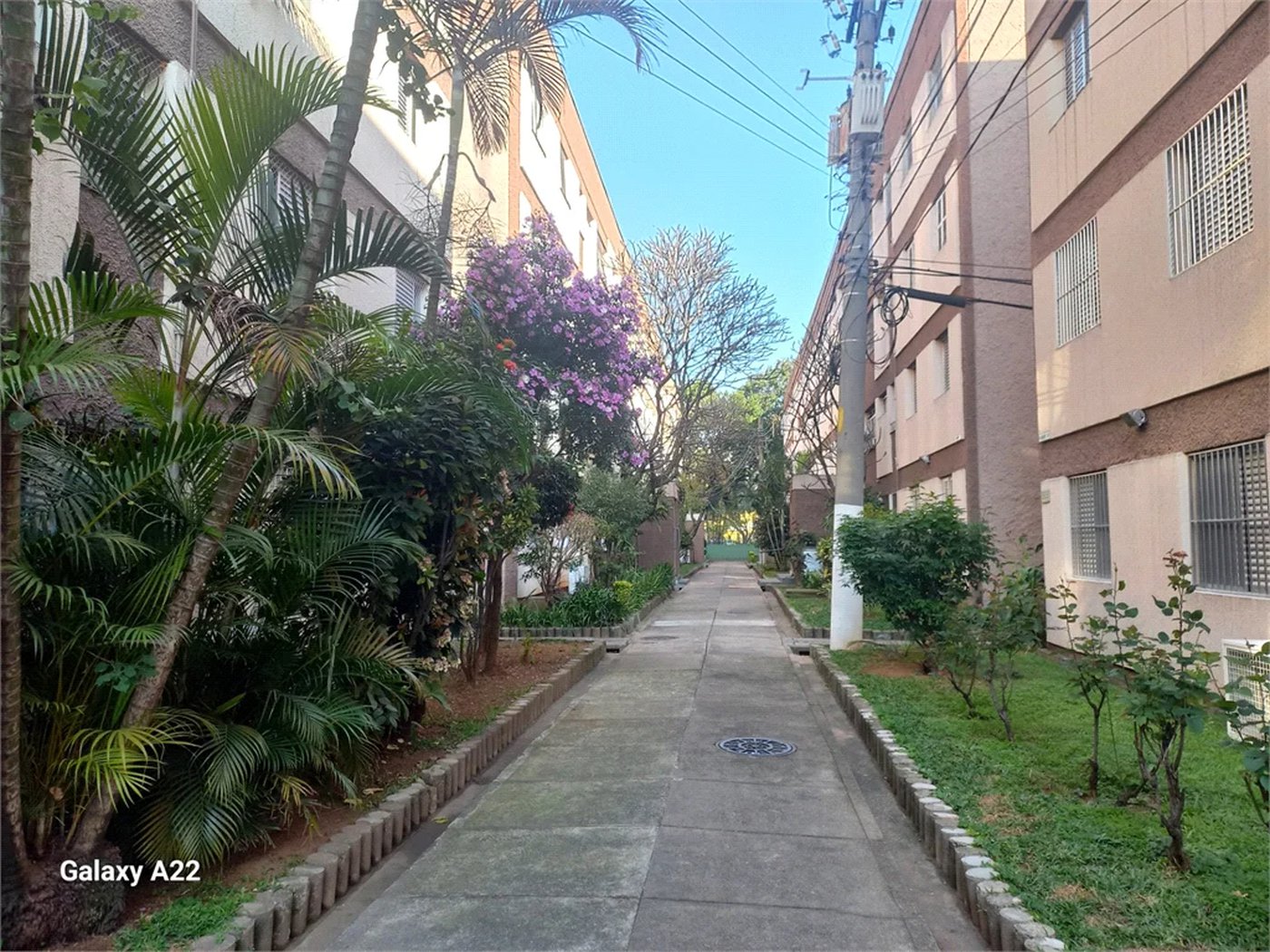 Apartamento à venda com 2 quartos em Parque Residencial da Lapa, São Paulo, SP