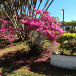 Chácara a venda no Parque Itaipu