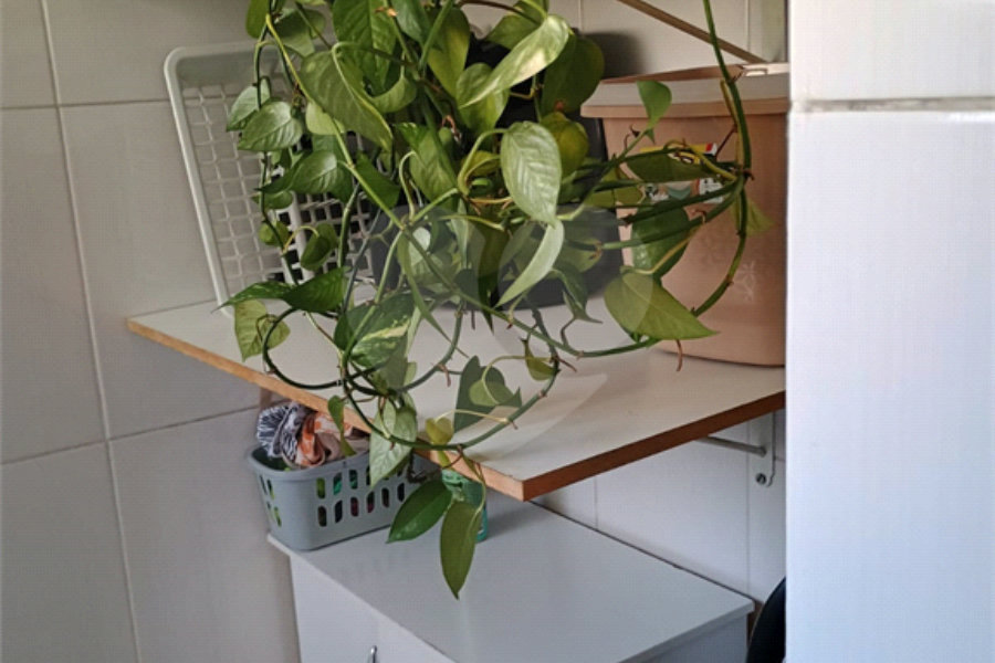 Apartamento à venda com 2 quartos em Parque Maria Domitila, São Paulo, SP