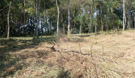 Terreno à venda no condomínio Jardim da Montanha I, Mairiporã - SP