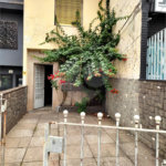 Sobrado à venda com 2 quartos em Água Fria, São Paulo, SP