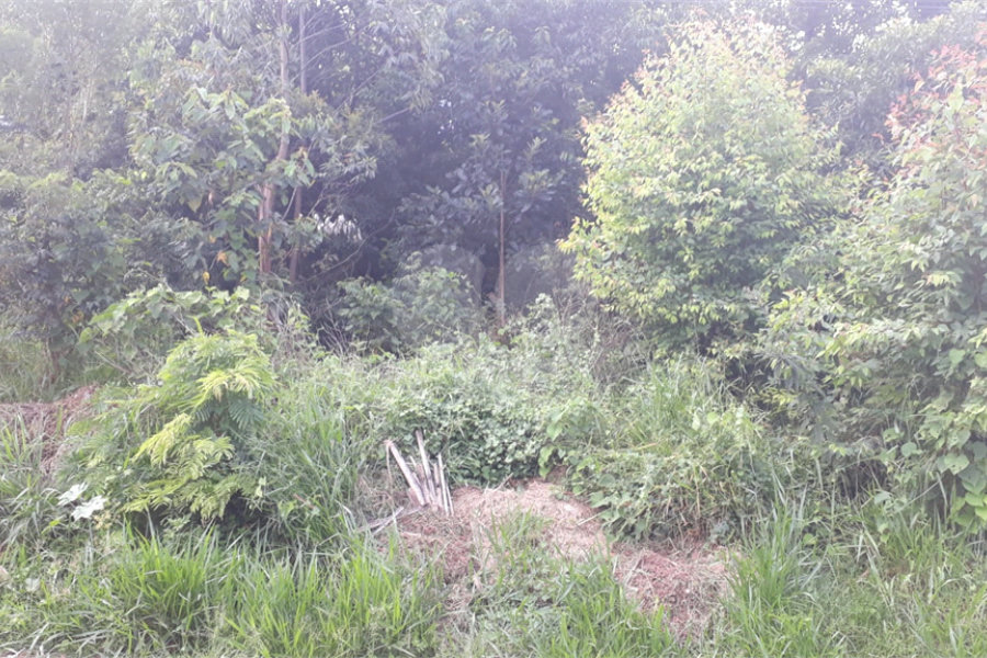 Terreno à venda em Capoavinha, Mairiporã, SP