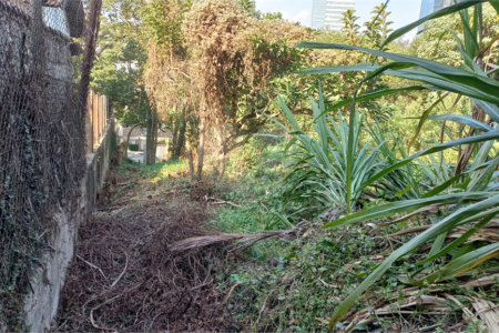 Terreno à venda em Vila Tramontano, São Paulo, SP