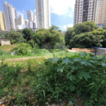 Terreno à venda com 1 quarto em Água Fria, São Paulo, SP