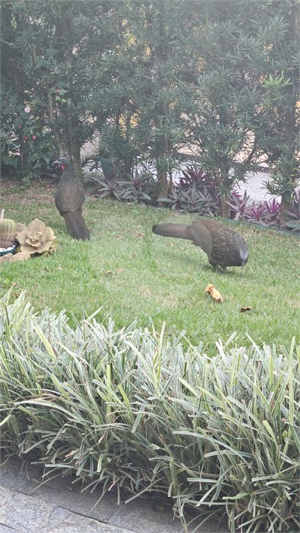Casa Térrea à venda com 4 quartos, sendo 1 suíte, em Jardim Centenário, Atibaia, SP
