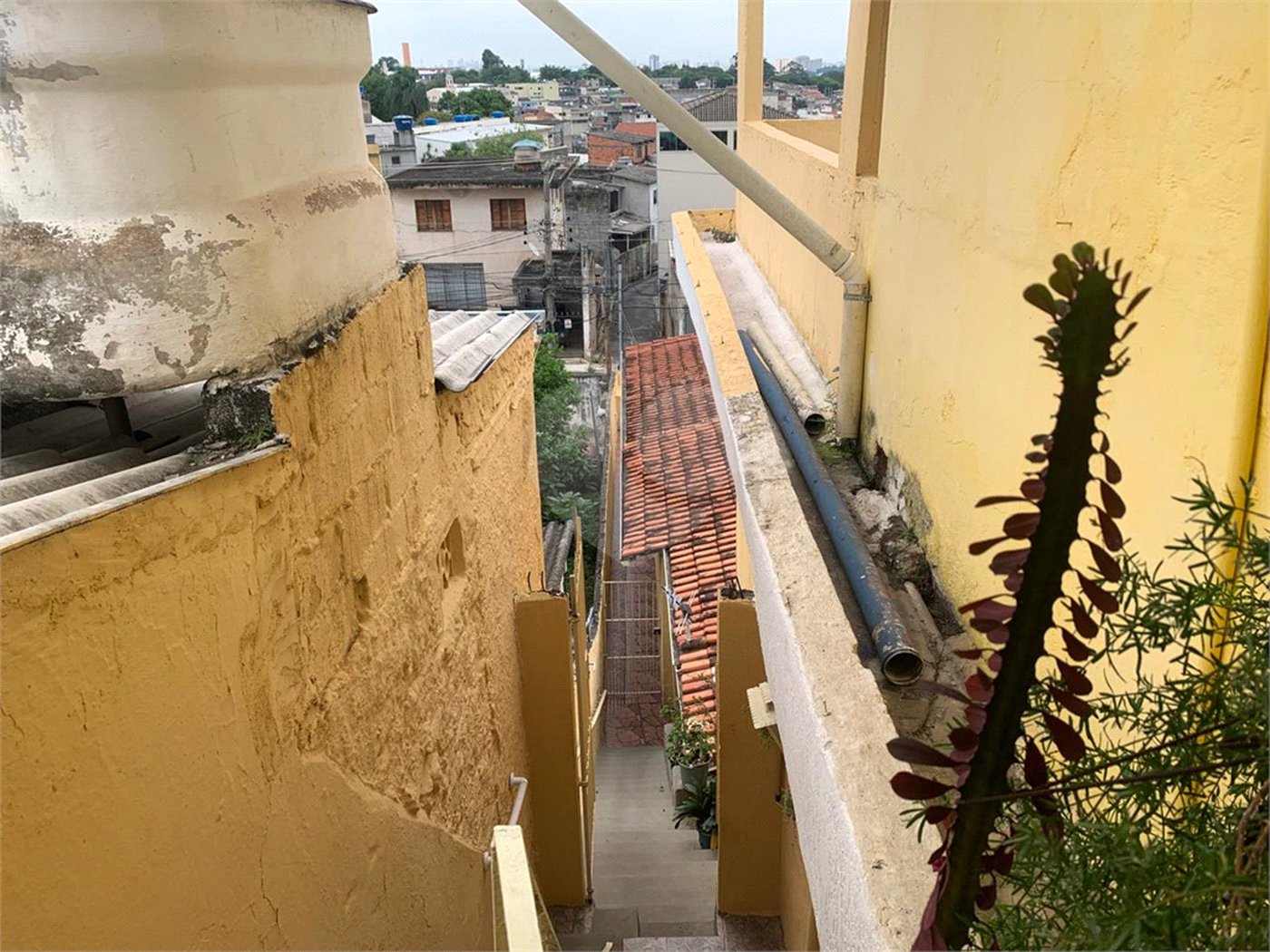 Casa Térrea à venda com 1 suíte em Vila Nova Cachoeirinha, São Paulo, SP