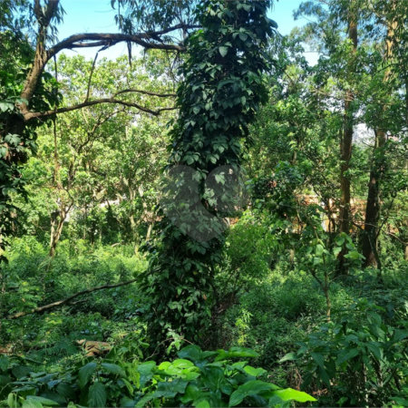 Terreno à venda no condomínio Horto do Ypê, São Paulo - SP
