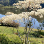 Casa à venda no condomínio Chácaras do Lago, Vinhedo - SP