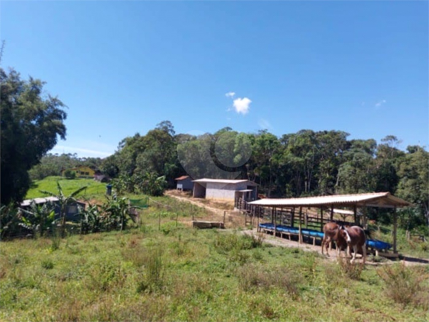 Sítio à venda com 5 quartos, sendo 1 suíte,  em Área Rural de Tapiraí, Tapiraí, SP