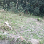Terreno à venda em Vila Darcy Penteado (mailasqui), São Roque, SP