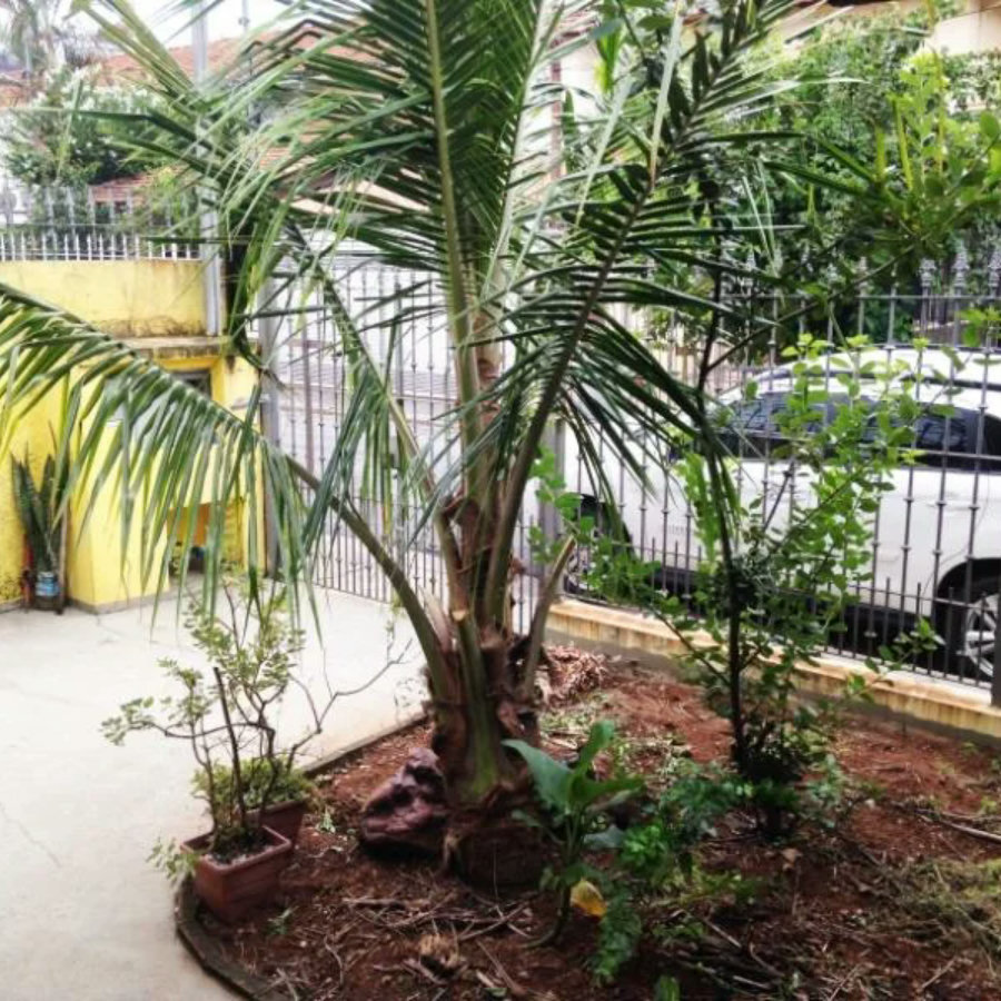 Casa Térrea à venda com 3 quartos, sendo 1 suíte, em Vila Cordeiro, São Paulo, SP