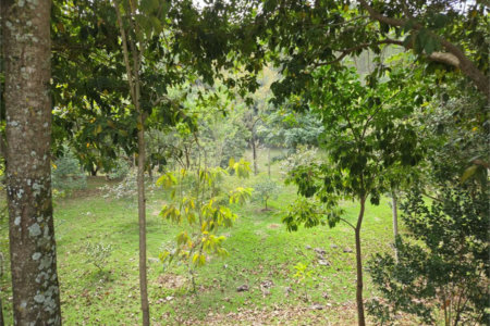 Terreno à venda no condomínio Fazenda Alta Vista, Salto de Pirapora - SP