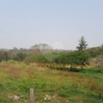 Terreno à venda em Abadia, Louveira, SP