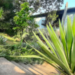 Casa à venda ou para alugar com 5 quartos, sendo 4 suítes, no condomínio Sausalito, Mairiporã - SP
