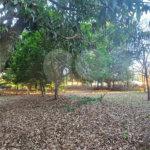 Terreno à venda em Jardim dos Estados, Ponta Porã, MS