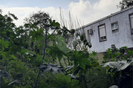 Terreno à venda em Chácara Monte Alegre, São Paulo, SP