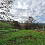 Área de Terra à venda com 1 suíte em Cocais, Itatiba, SP