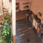 Sobrado à venda com 3 quartos em Jardim Nova Germania, São Paulo, SP