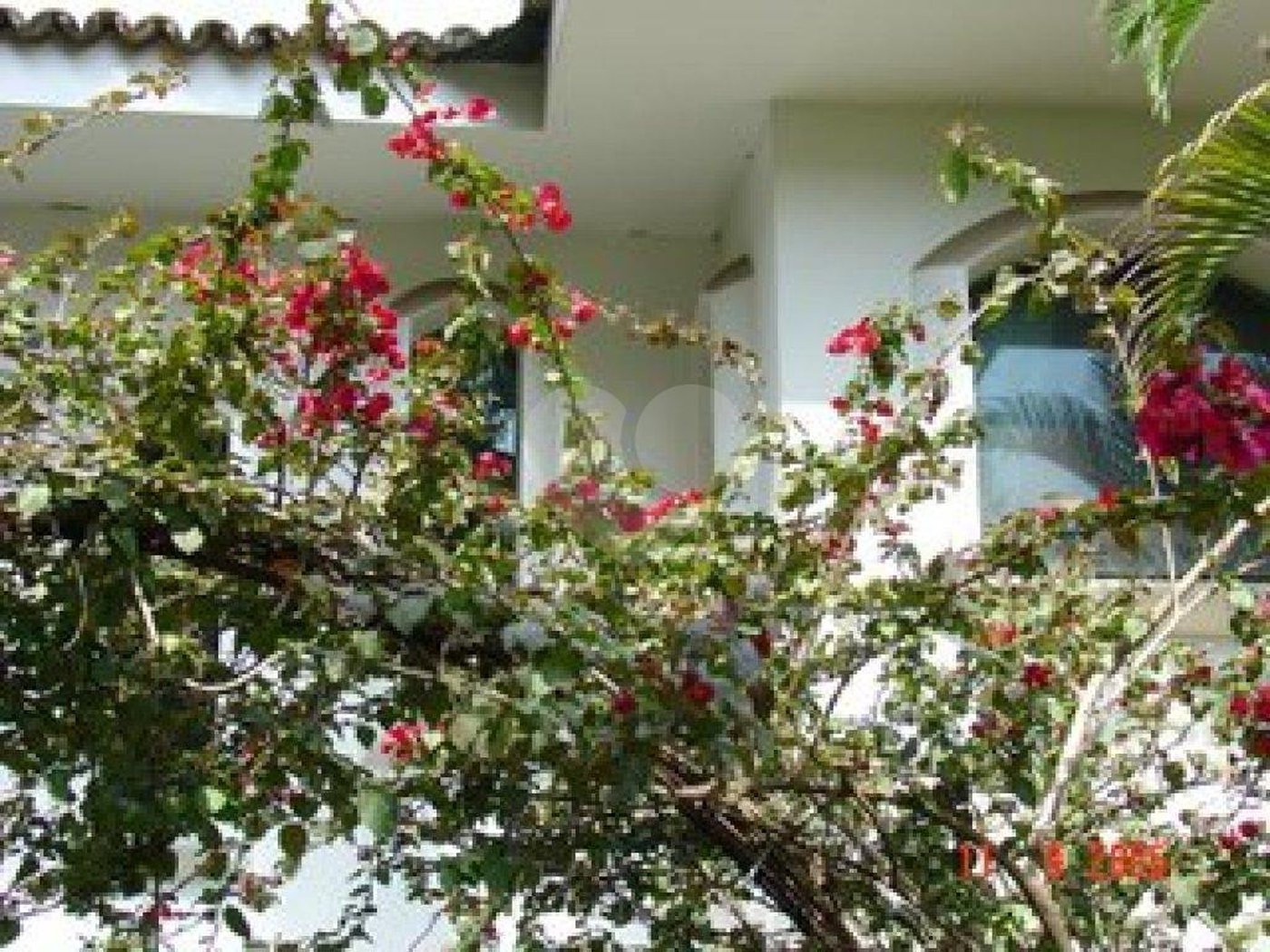 Casa à venda ou para alugar com 5 suítes em Jardim São Bento, São Paulo, SP