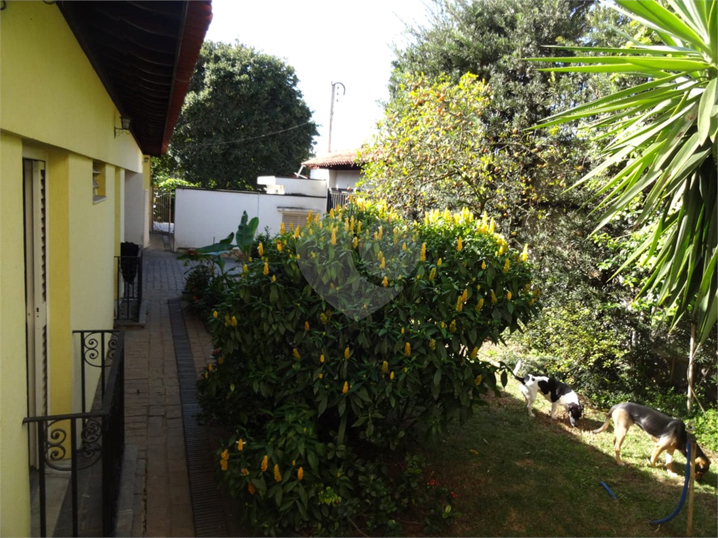 Casa à venda com 5 quartos, sendo 2 suítes,  em Vila Oliveira, Mogi das Cruzes, SP
