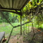 Chácara à venda com 3 quartos, sendo 1 suíte, em Cercadinho, Alambari, SP