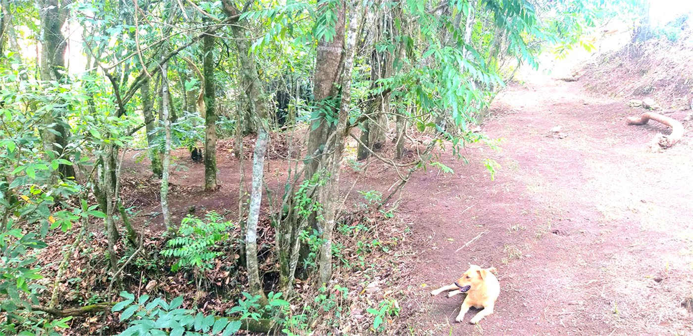 Sítio à venda no Centro, Monte Sião, MG