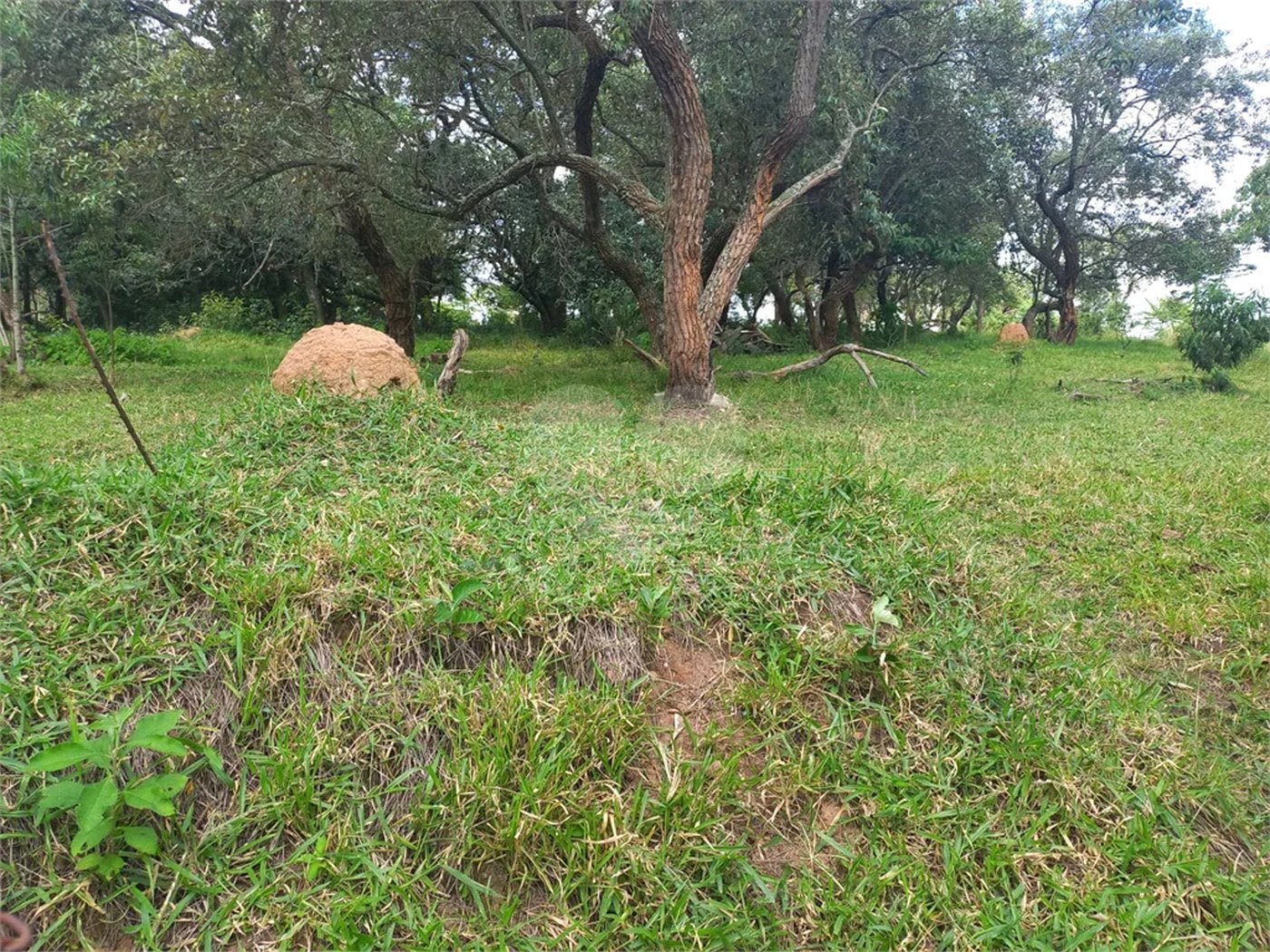 Terreno à venda em Chácaras do Guacuri, Itupeva, SP
