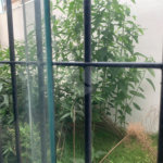Sobrado para alugar com 1 quarto em Santo Amaro, São Paulo, SP