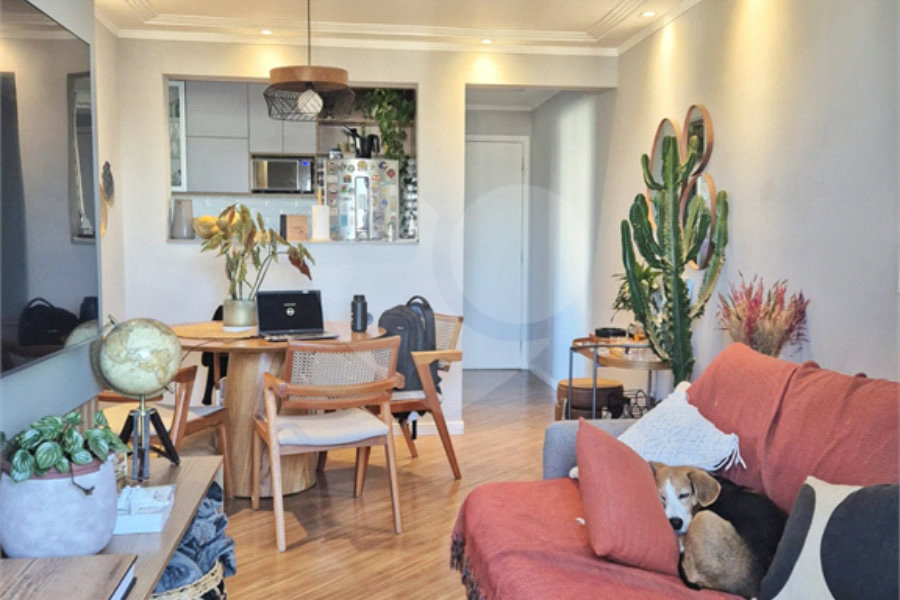 Apartamento à venda com 3 quartos, sendo 1 suíte, em Vila Nova Cachoeirinha, São Paulo, SP