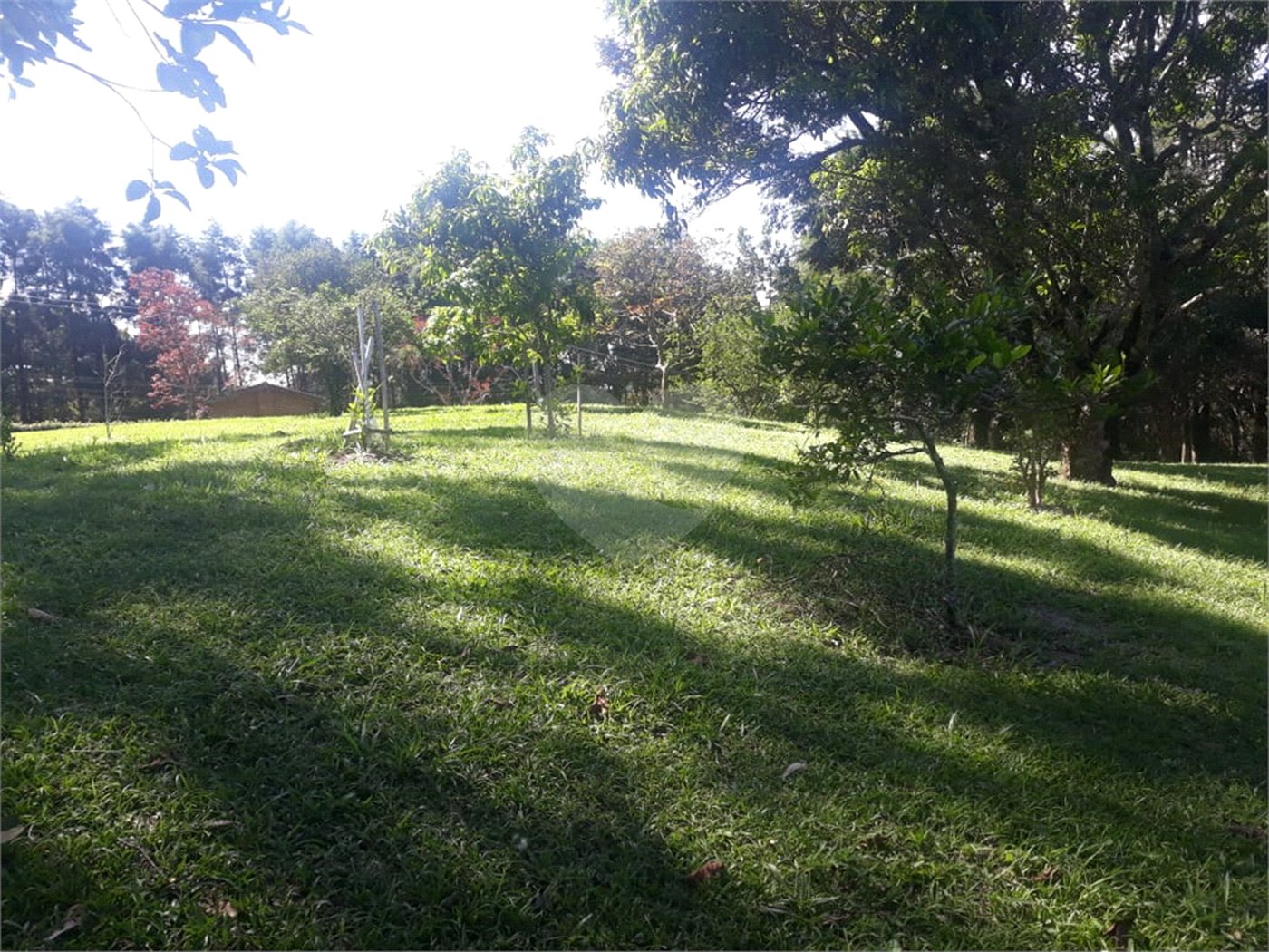 Chácara à venda com 3 quartos, sendo 2 suítes,  em Vila Darcy Penteado (mailasqui), São Roque, SP