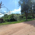 Terreno à venda no Centro (mailasqui), São Roque, SP