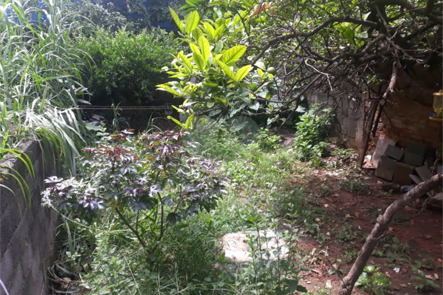 Casa à venda com 3 quartos em Santana, São Paulo, SP