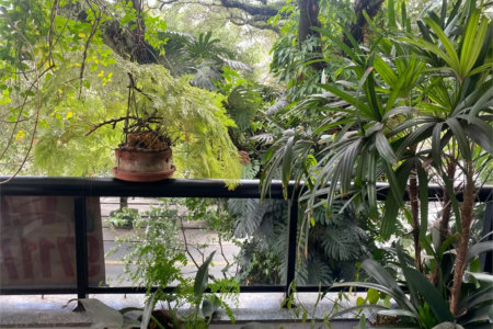 Apartamento à venda com 3 suítes em Vila Andrade, São Paulo, SP