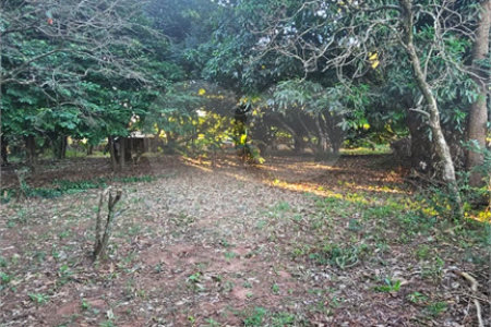 Terreno à venda em Jardim dos Estados, Ponta Porã, MS