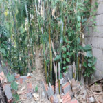 Terreno à venda em Freguesia do Ó, São Paulo, SP